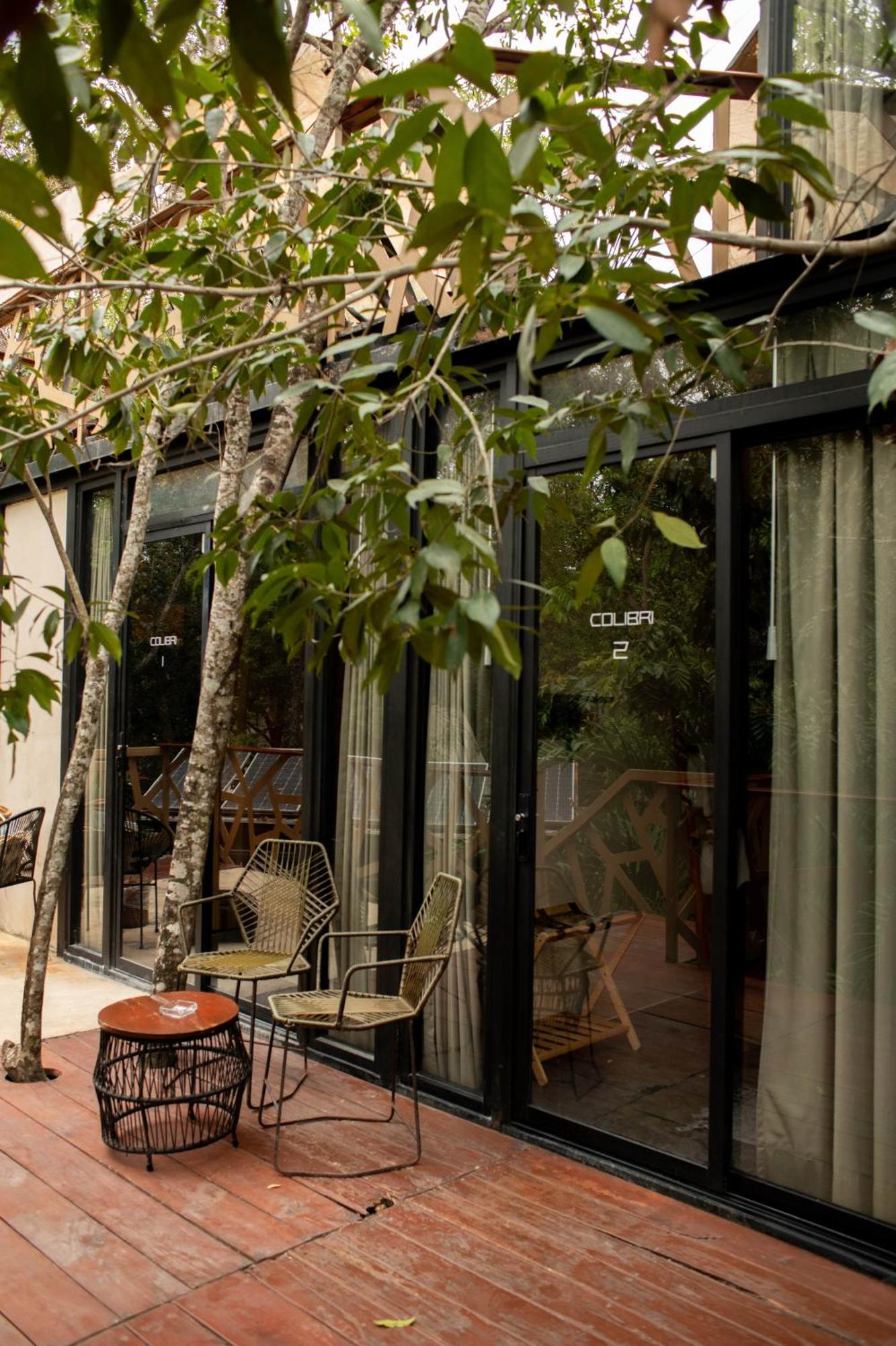 Bufo Alvarius Tulum Exterior foto